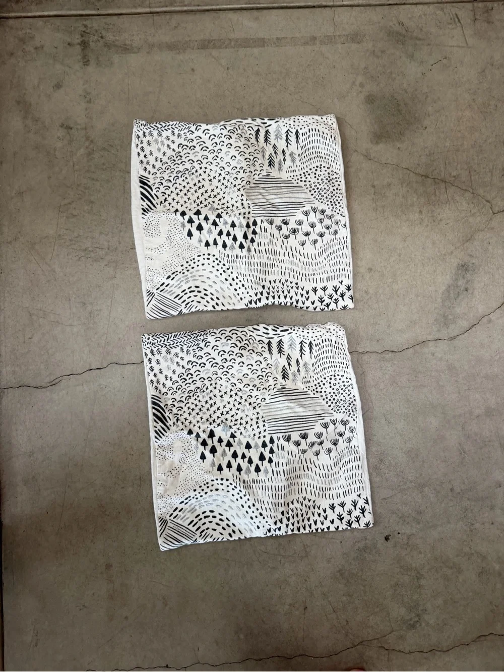 West Elm stylish pair